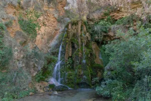 Downtown Abita Springs, LA, LA