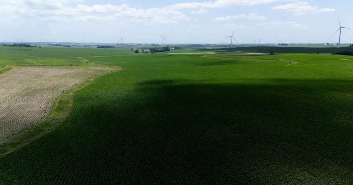 Downtown Acres Green, CO, CO