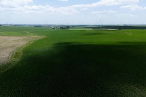 Downtown Acres Green, CO, CO