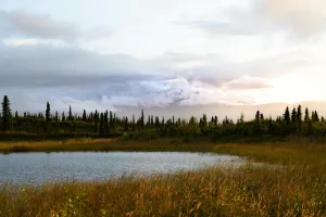 Downtown Alaska, IN, IN