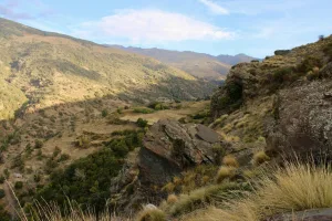 Downtown Alta Sierra, CA, CA