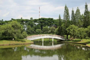 Downtown Anderson, MO, MO