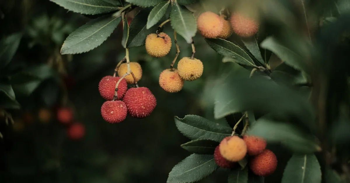 Downtown Arbutus, MD, MD