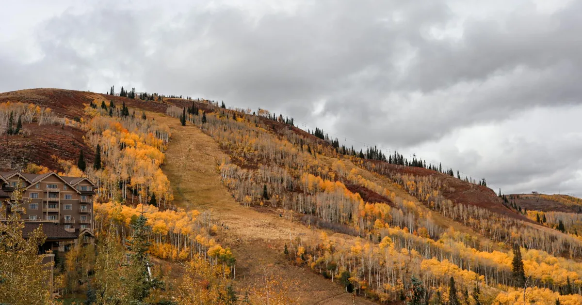 Downtown Aspen Hill, MD, MD