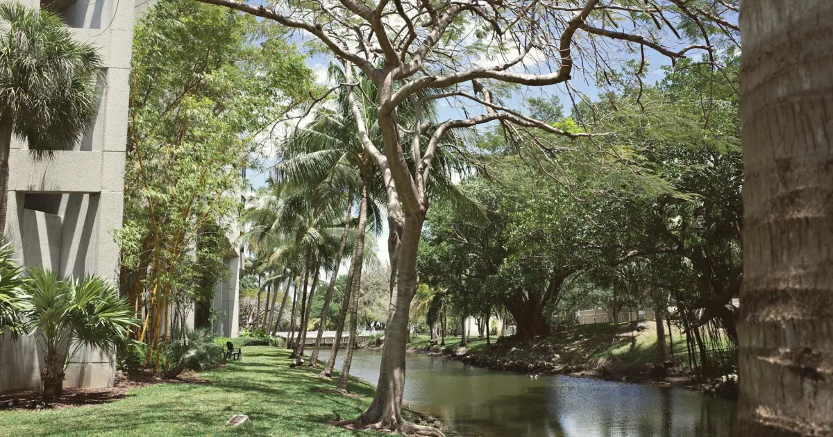 Downtown Avon Park, FL, FL