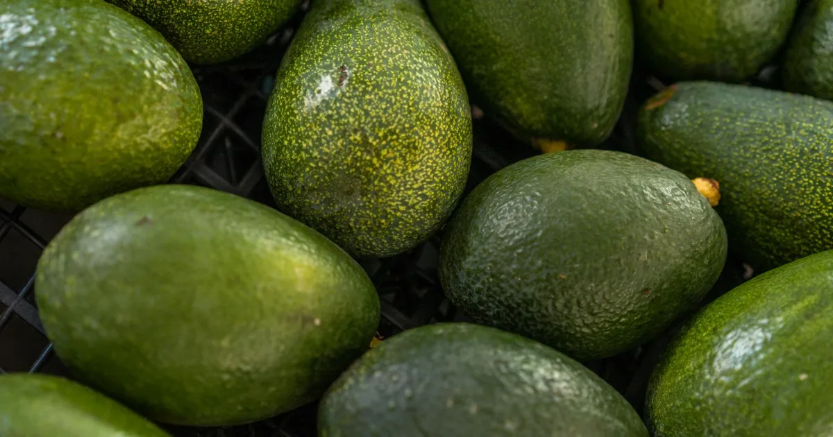 Downtown Avondale, AZ, AZ