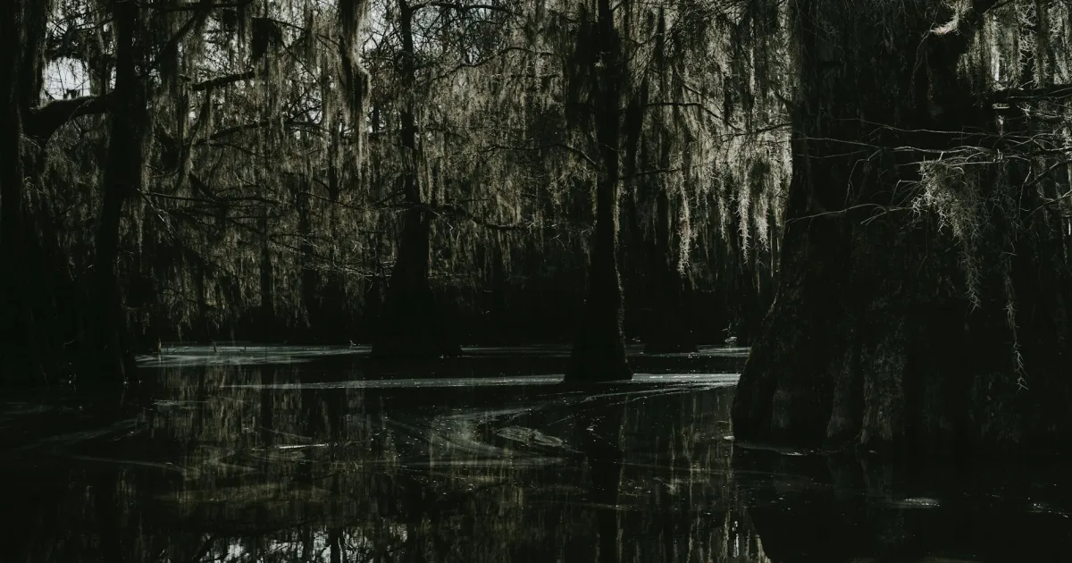 Downtown Bayou Gauche, LA, LA