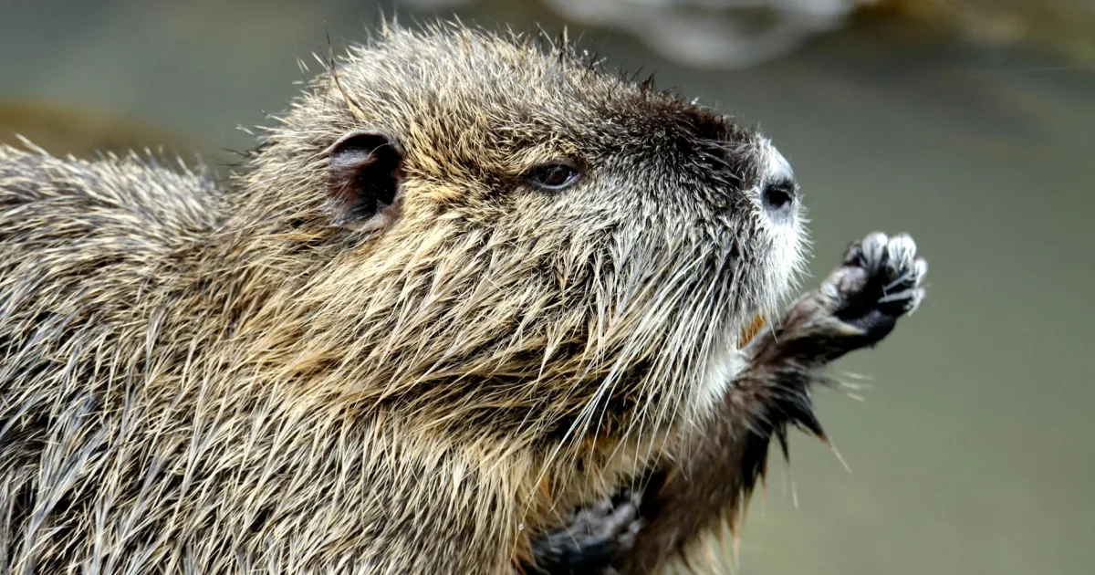 Downtown Beaver Dam, KY, KY