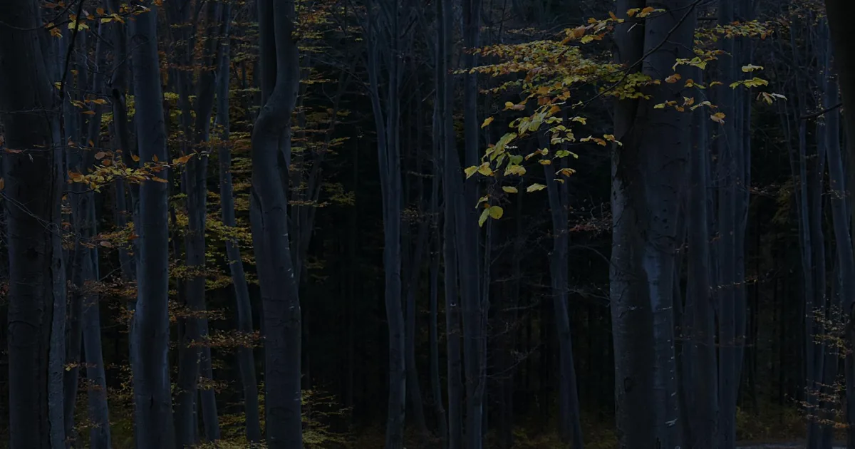 Downtown Beech Grove, IN, IN