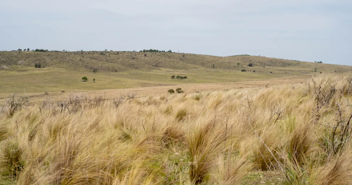 Downtown Belle Plaine, IA, IA