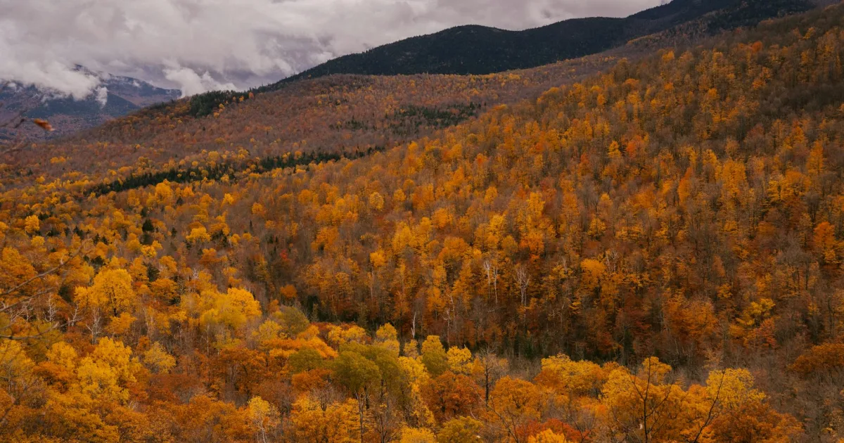 Downtown Bellows Falls, VT, VT