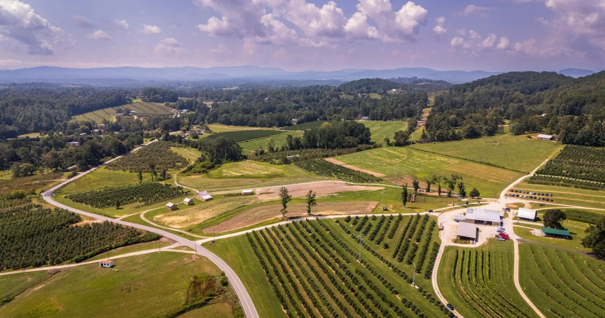 Downtown Berryville, VA, VA