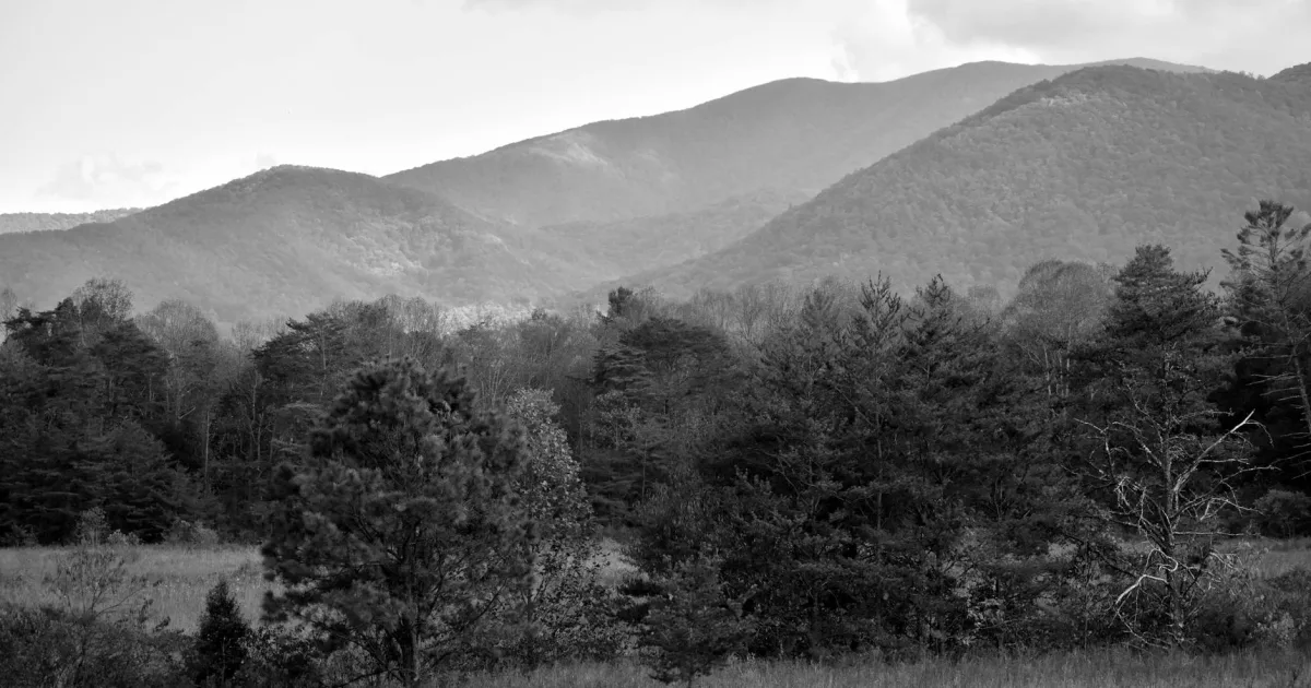 Downtown Black Mountain, NC, NC