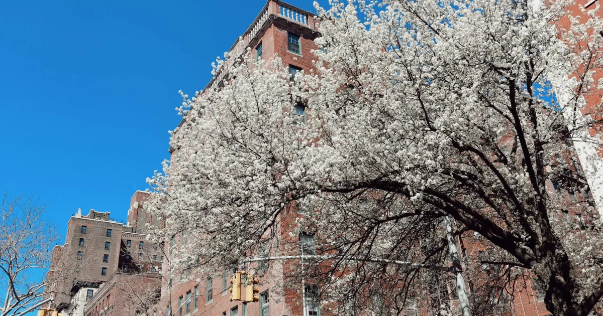 Downtown Blooming Grove, NY, NY