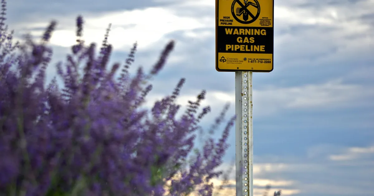 Downtown Bloomingdale, GA, GA