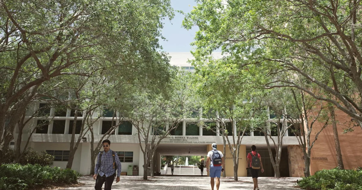 Downtown Brandon, FL, FL