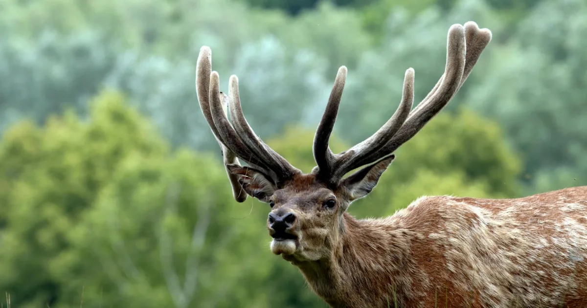 Downtown Bucksport, ME, ME