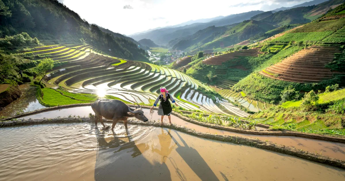 Downtown Buffalo, PA, PA