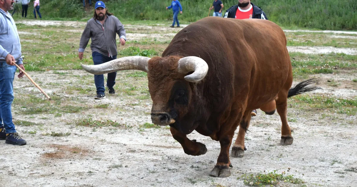 Downtown Bull Run, VA, VA