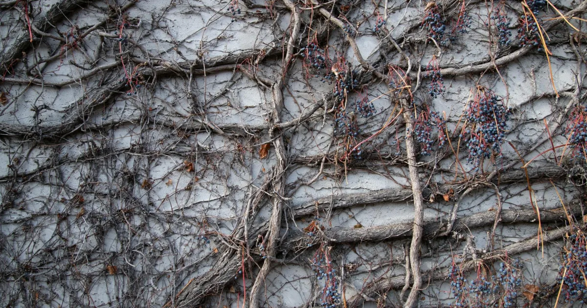 Downtown Burley, ID, ID