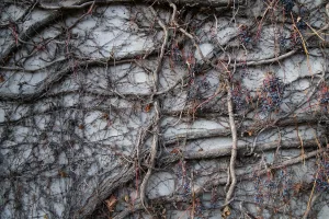 Downtown Burley, ID, ID