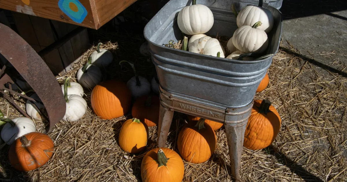 Downtown Calabash, NC, NC