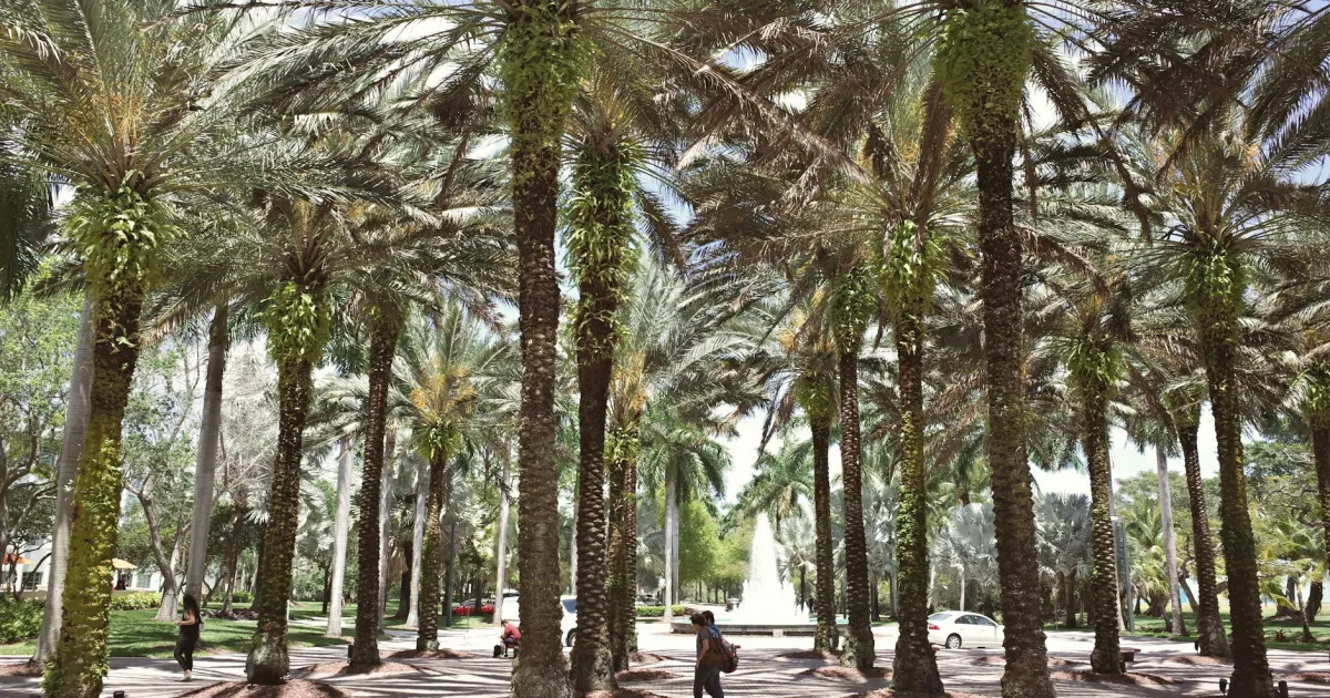 Downtown Callahan, FL, FL