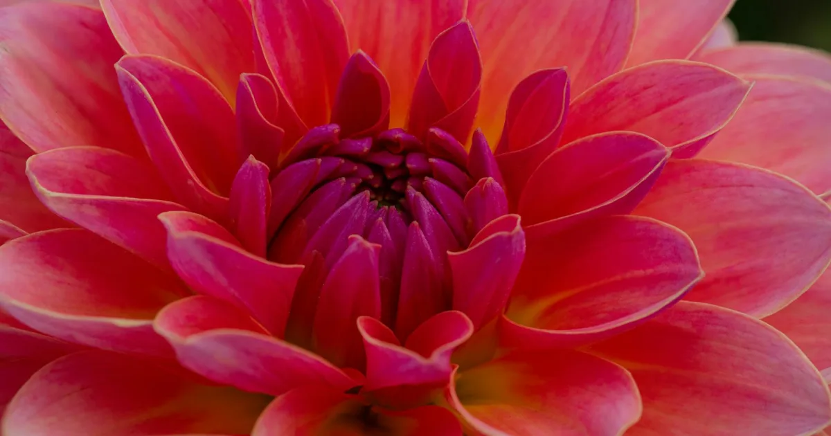 Downtown Canby, OR, OR