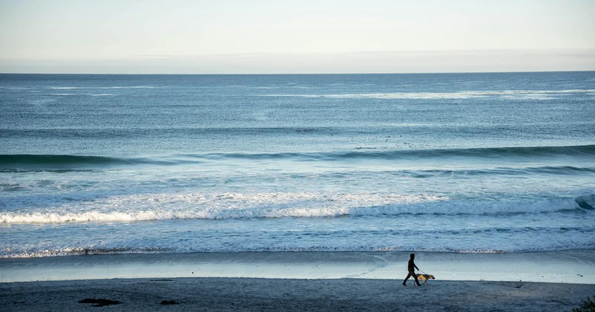 Downtown Carmel, IN, IN
