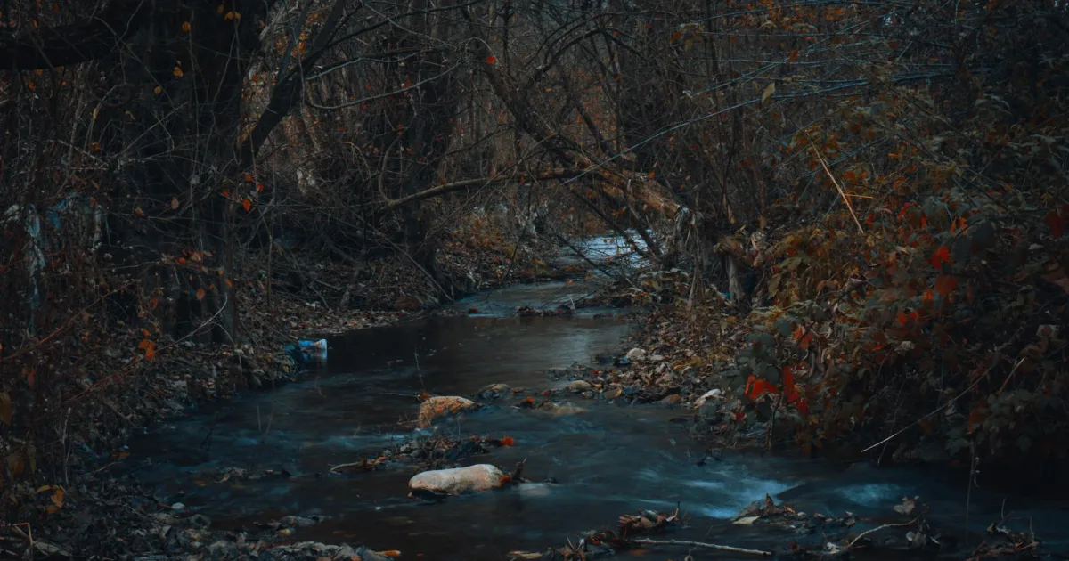 Downtown Carol Stream, IL, IL