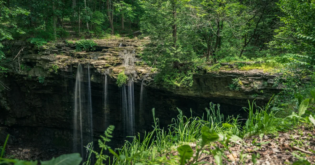Downtown Cedar Falls, IA, IA