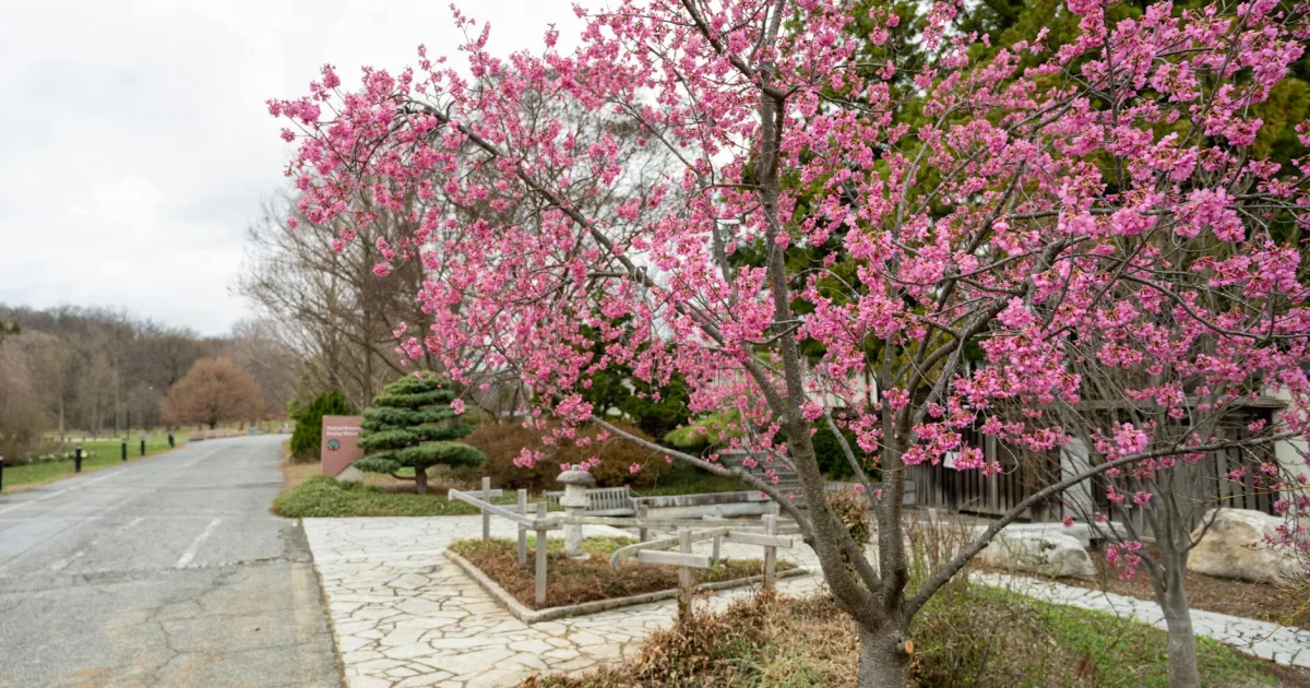 Downtown Cherry Hill, NJ, NJ