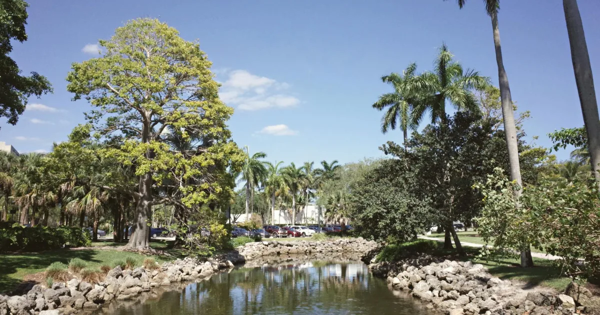 Downtown Citra, FL, FL