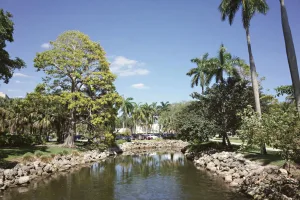 Downtown Citra, FL, FL