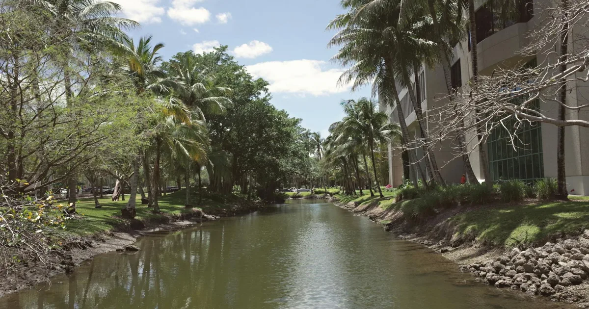Downtown Coconut Creek, FL, FL