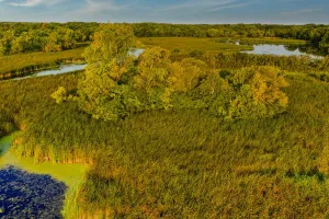 Downtown Cokato, MN, MN