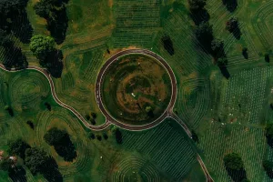 Downtown Collierville, TN, TN