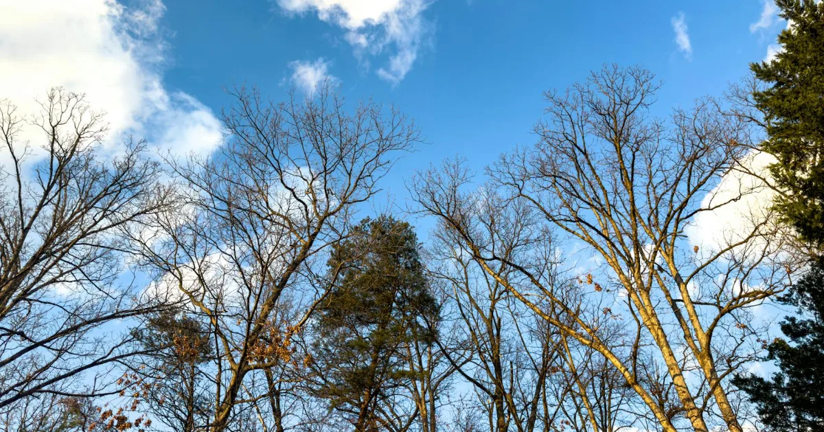 Downtown Colonial Heights, VA, VA