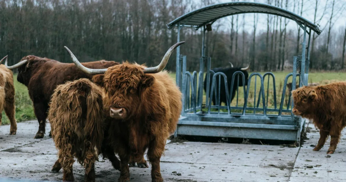 Downtown Coos Bay, OR, OR