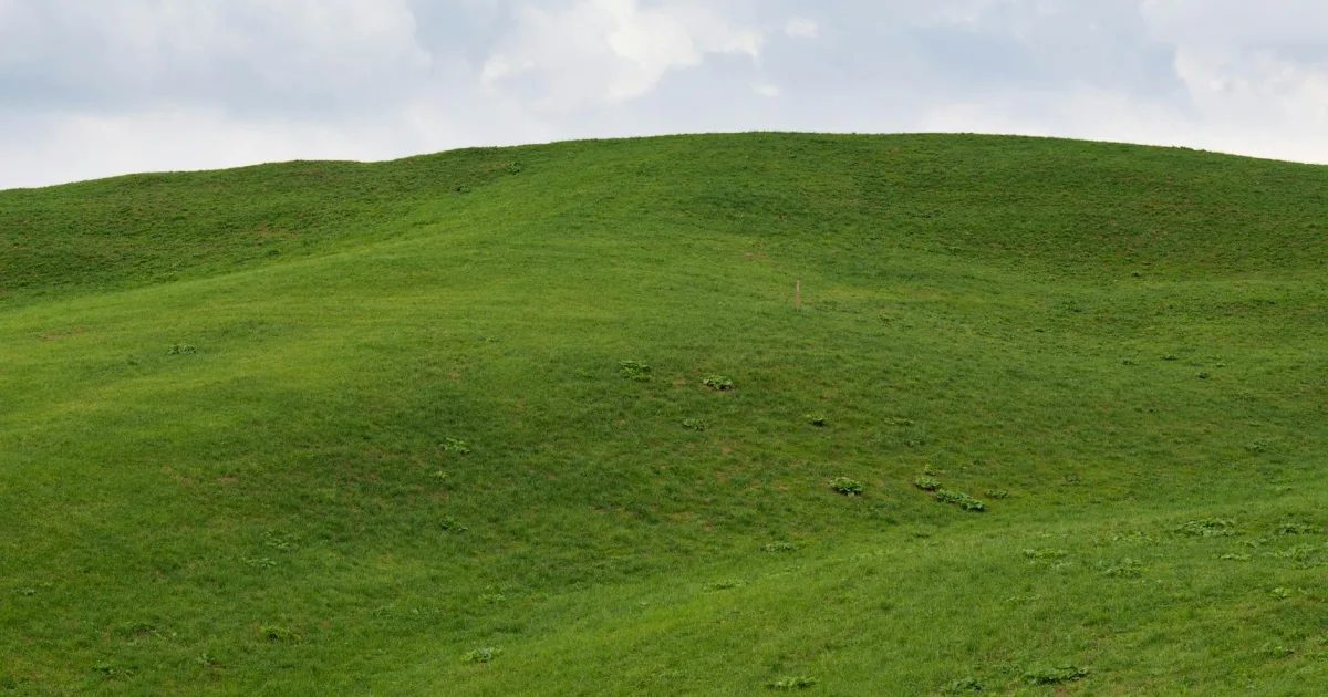 Downtown Crest Hill, IL, IL