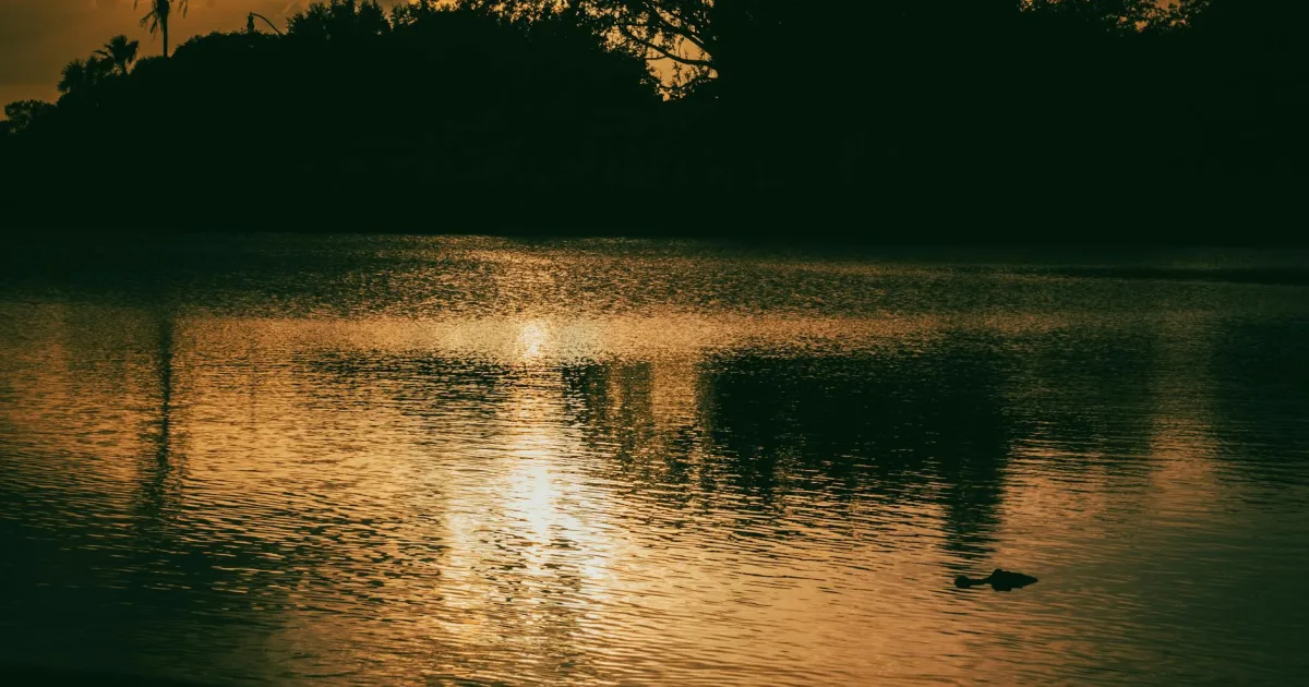 Downtown Crystal River, FL, FL