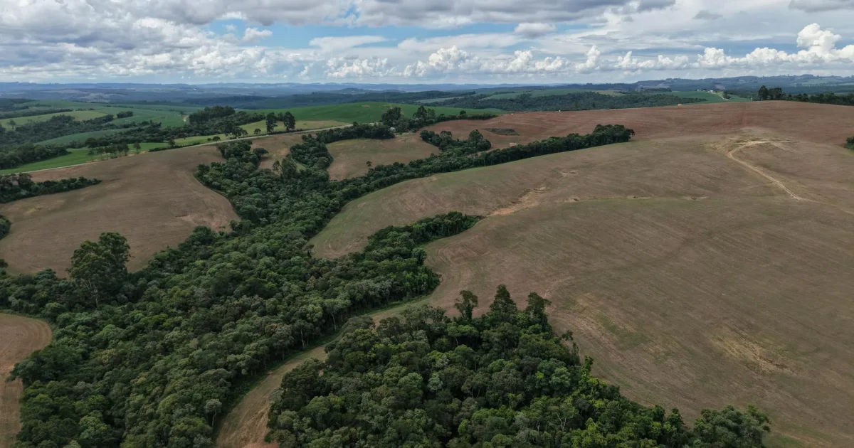 Downtown Demorest, GA, GA