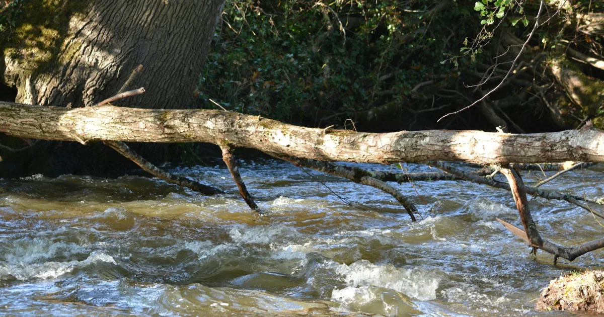 Downtown Denham Springs, LA, LA