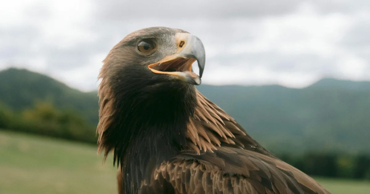 Downtown Eagle Mountain, UT, UT