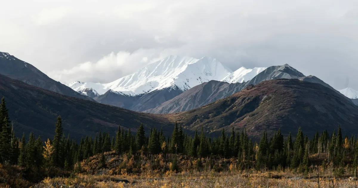 Downtown Eagle River, AK, AK