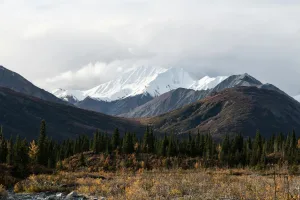 Downtown Eagle River, AK, AK