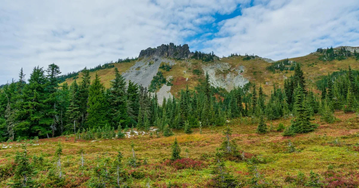 Downtown East Wenatchee, WA, WA