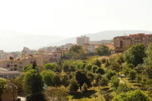 Downtown Eden, NC, NC