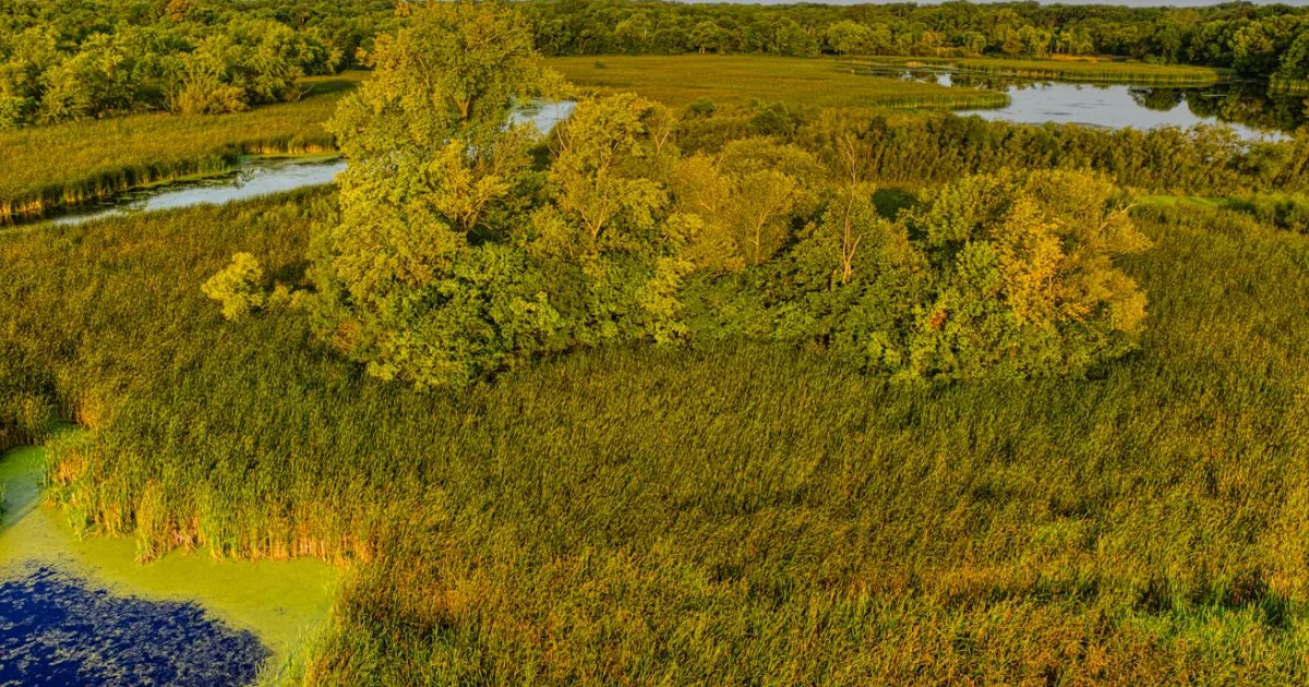 Downtown Eden Prairie, MN, MN