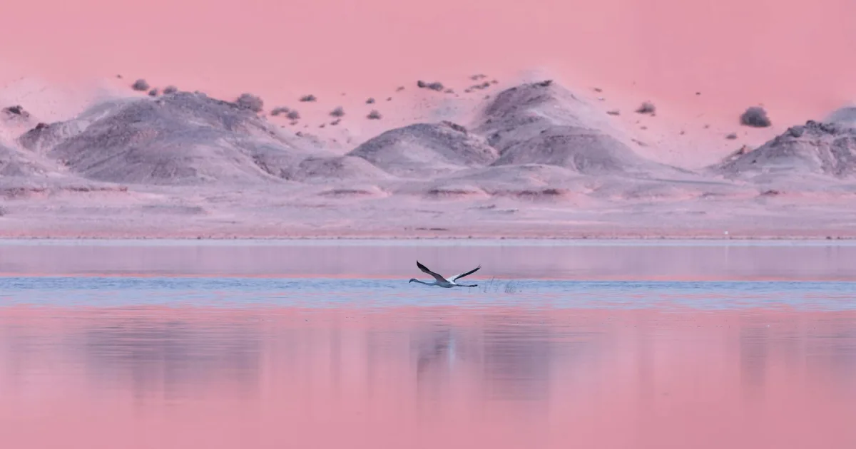 Downtown El Mirage, AZ, AZ